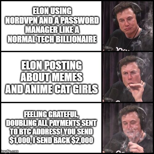 Elon Musk why?