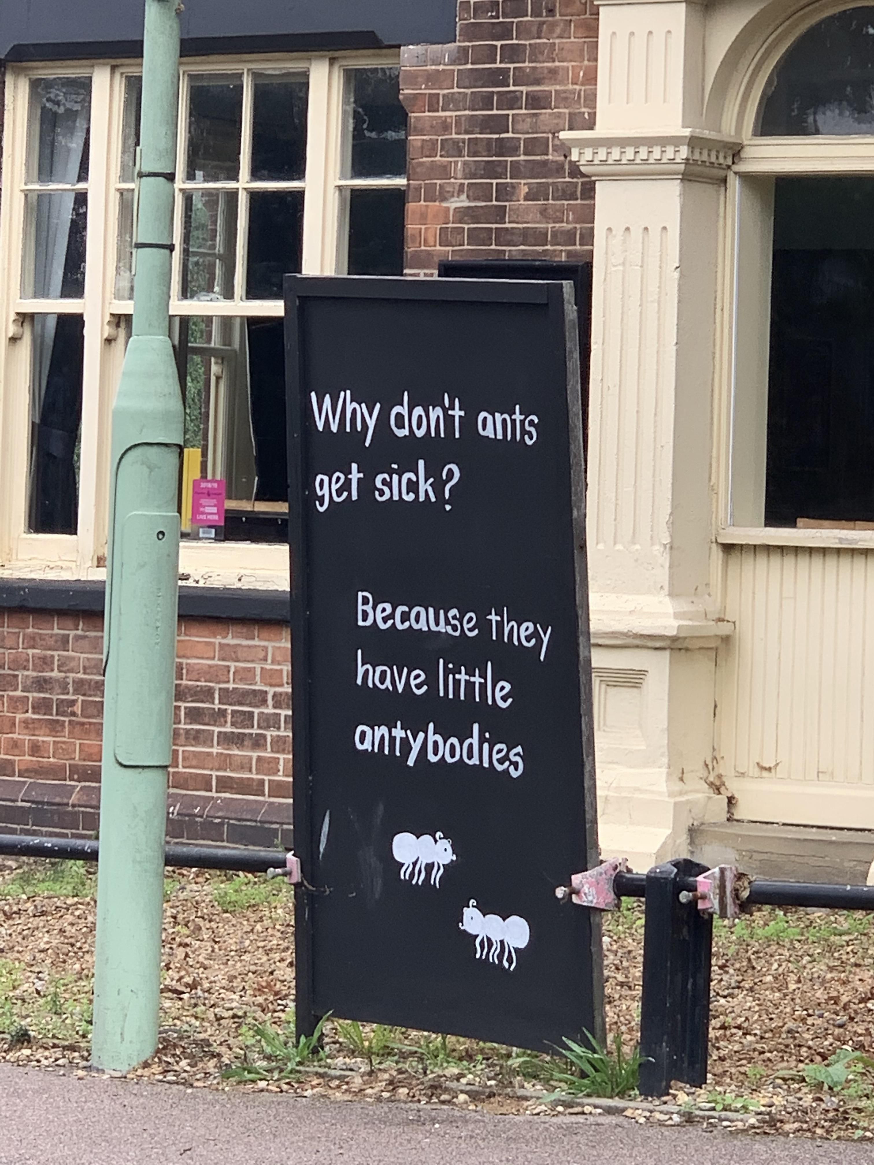 My local pub has banter, probably explains why ants don’t get Covid...