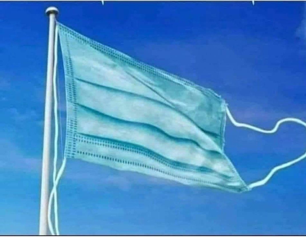 Official Flag Of The World 2020
