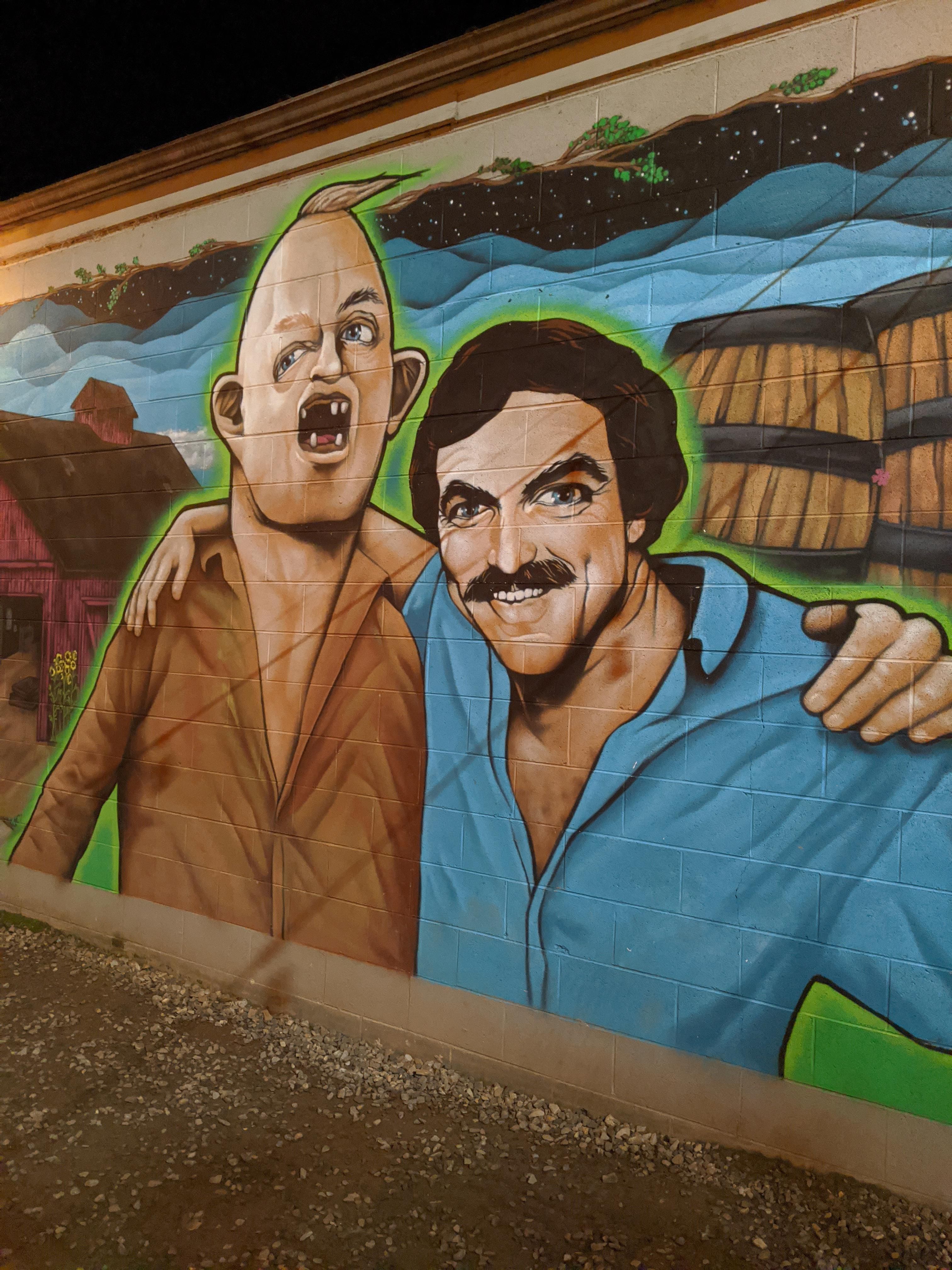 My favorite mural of all time. Asheville, North Carolina.