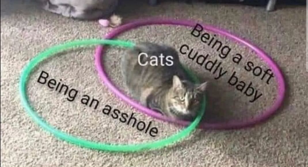 It's true