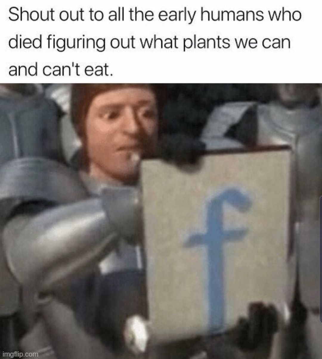 the real mvps