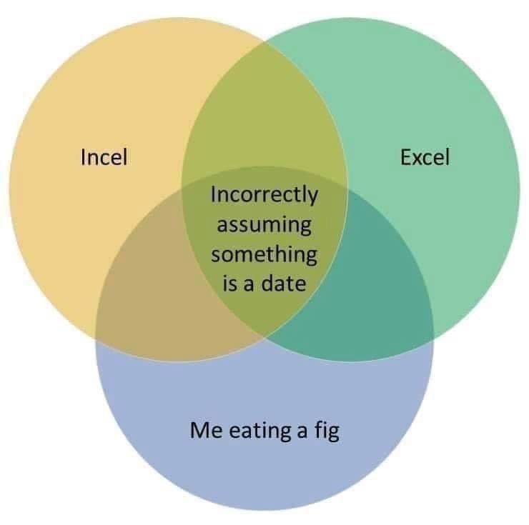 Excel: Invite e-girl to eat fig