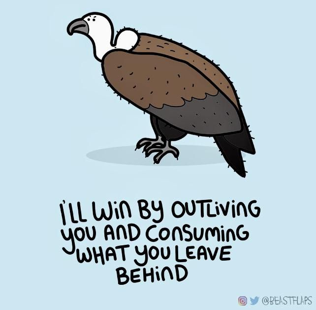 I drew this grumpy vulture