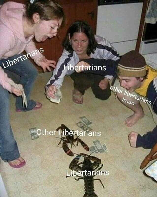 librehty brehs and srehs should focus on the common ground