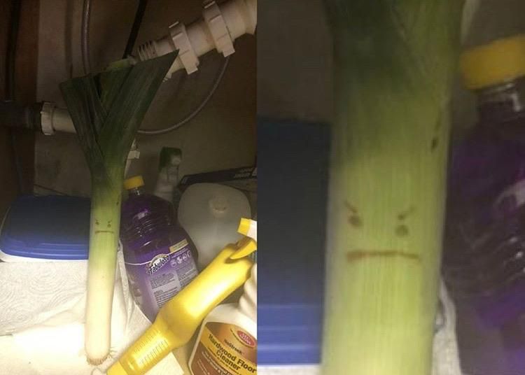 serious leek under the sink