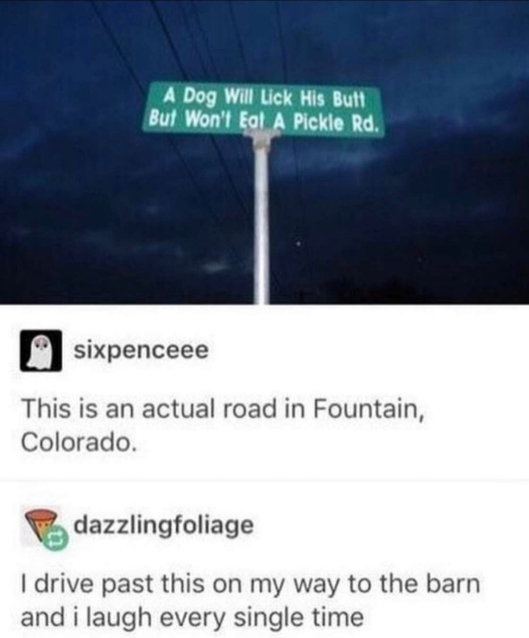 America has no culture, America: