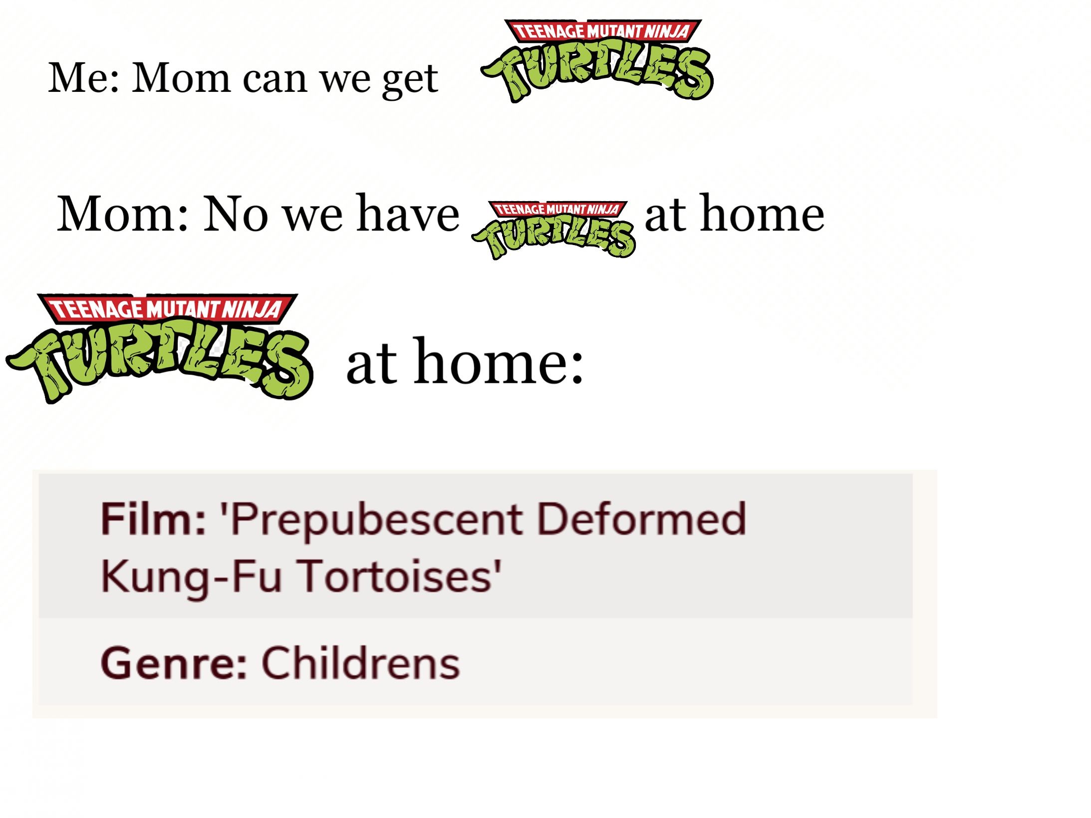 Turtles carry salmonella