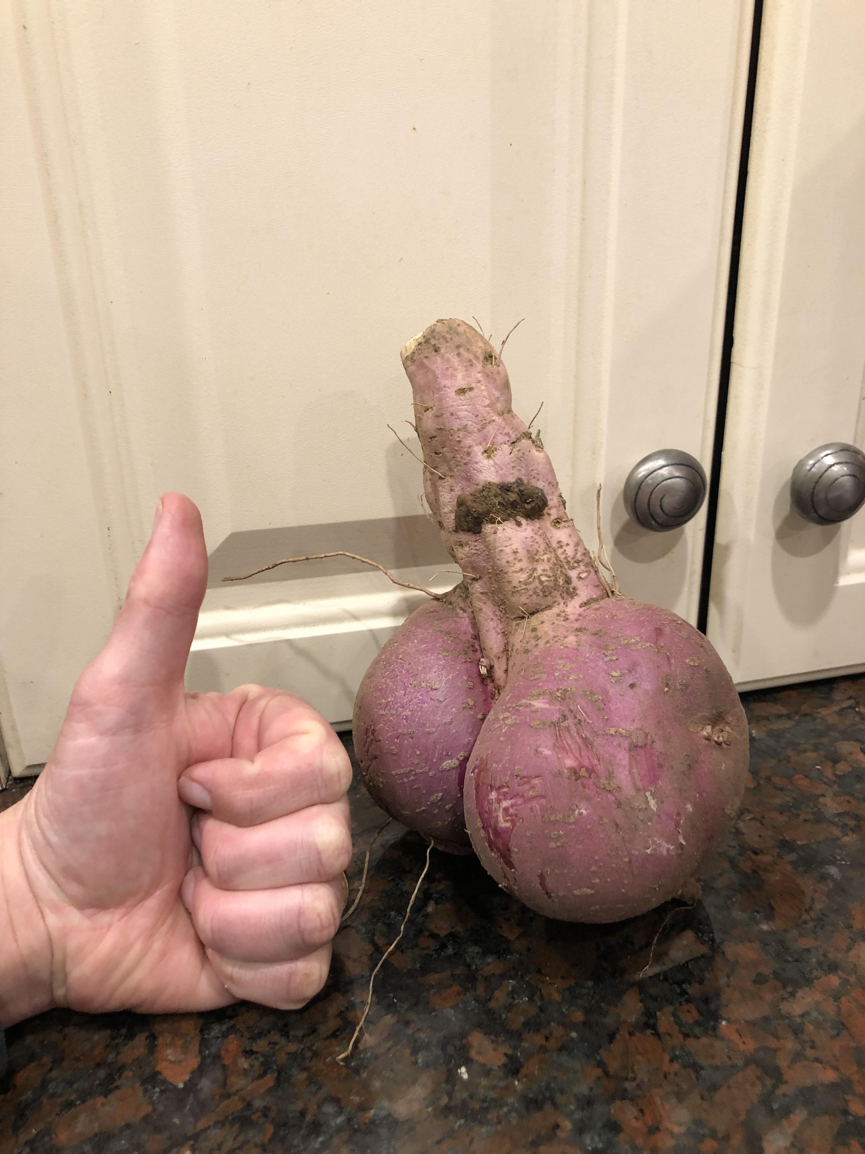 We grew an interesting sweet potato...