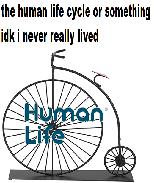 why do we exist? only to cycle?