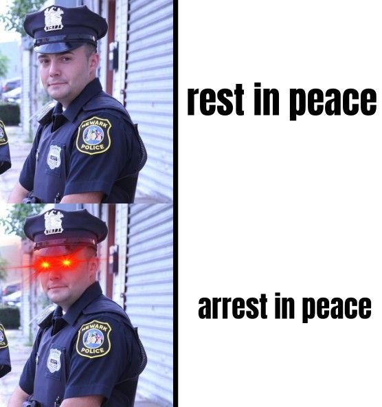 Hide yo dogs man