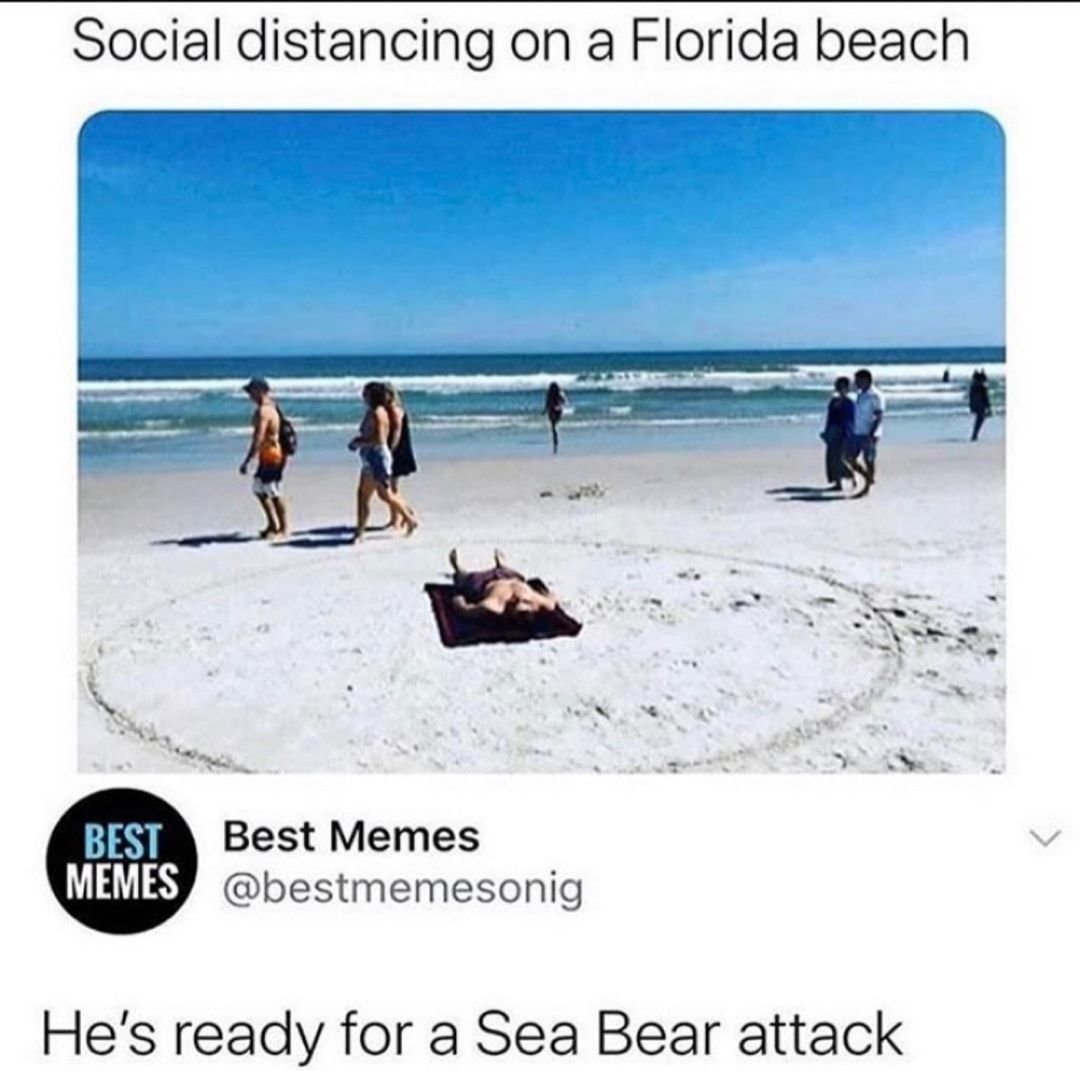 Shots scary.... Sea bears I mean