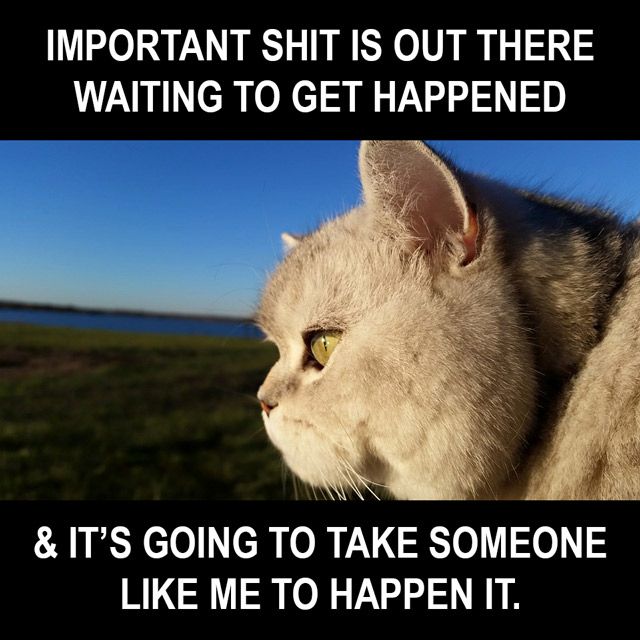 motivational repost