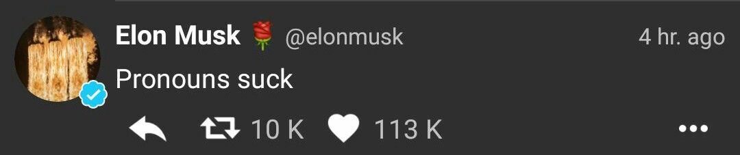 kyaa Elon-sama
