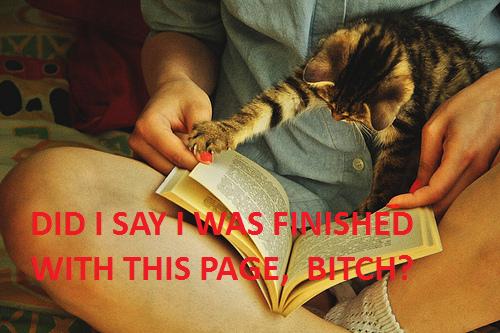 Did I?!