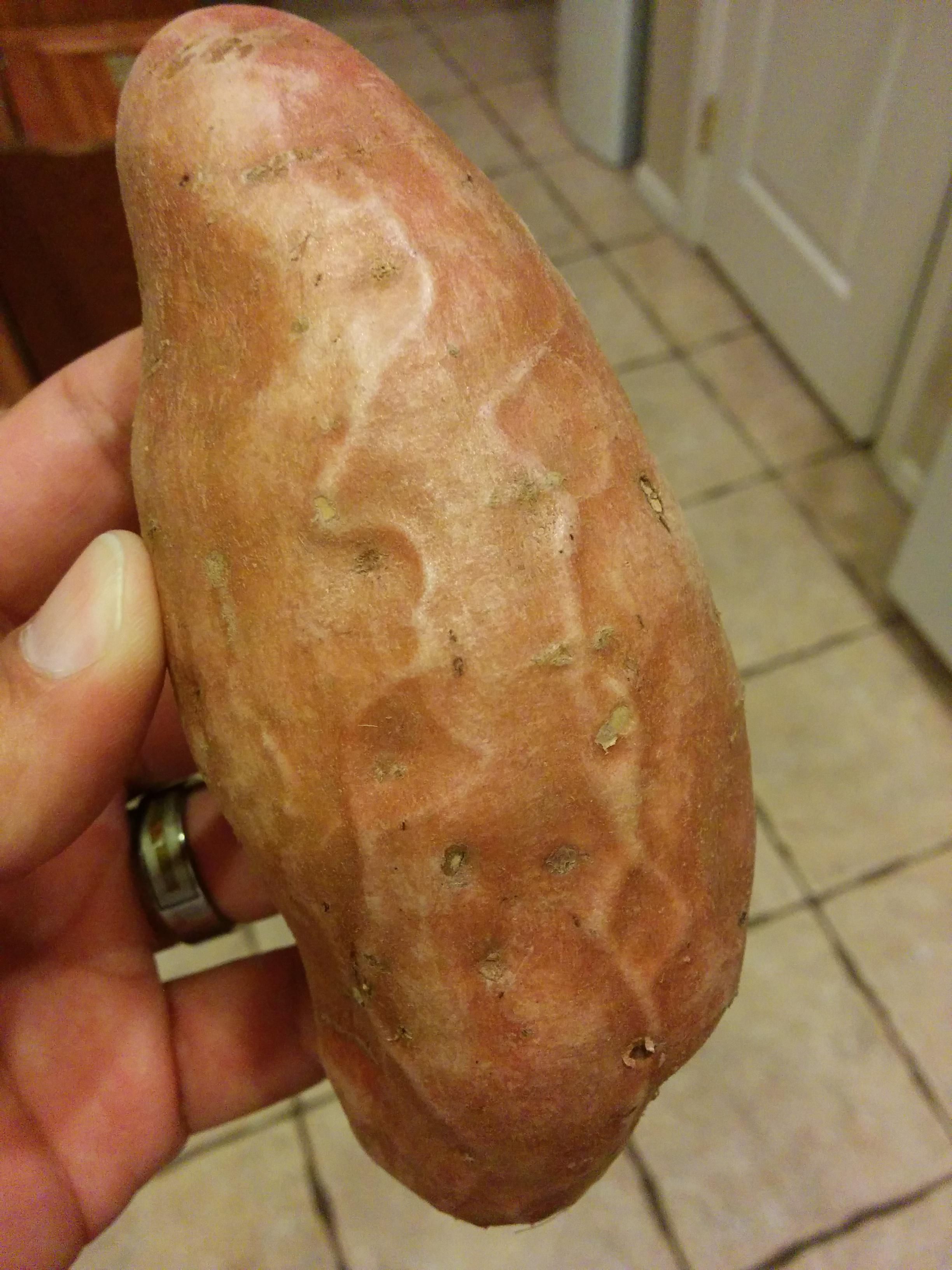 Check out my throbbing potato.