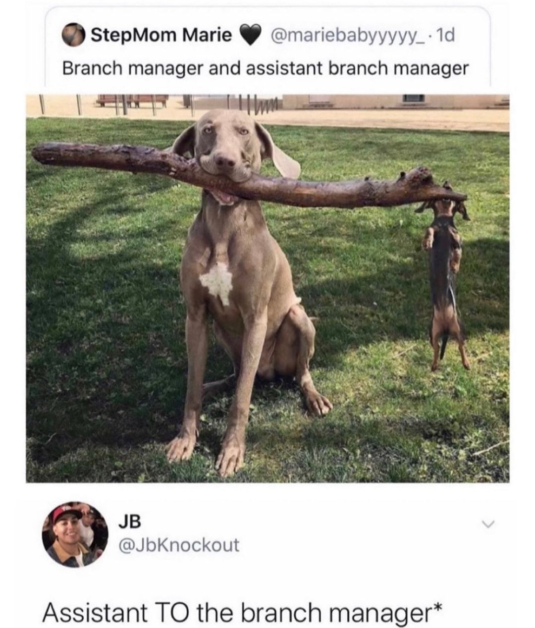 I'm something of a branch manager myself