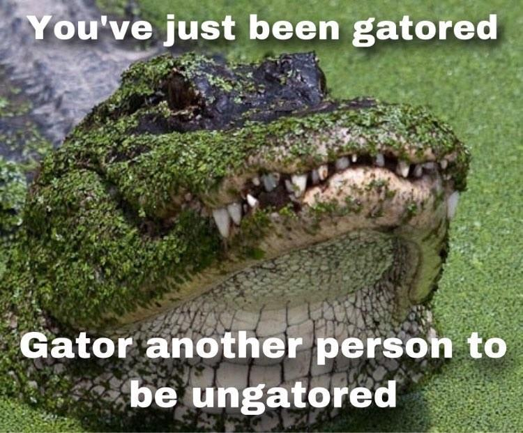 Sorry I got Gatoraderd