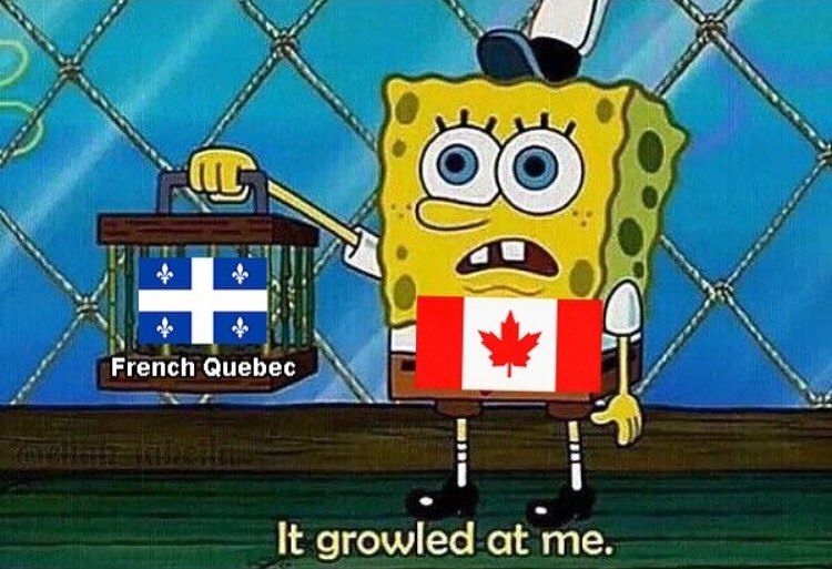 maple