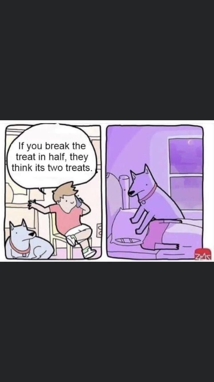 Dog comic