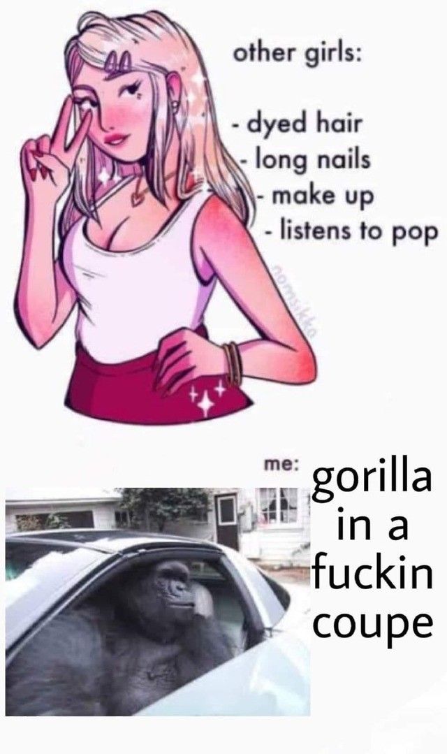 gorilla in a coupe