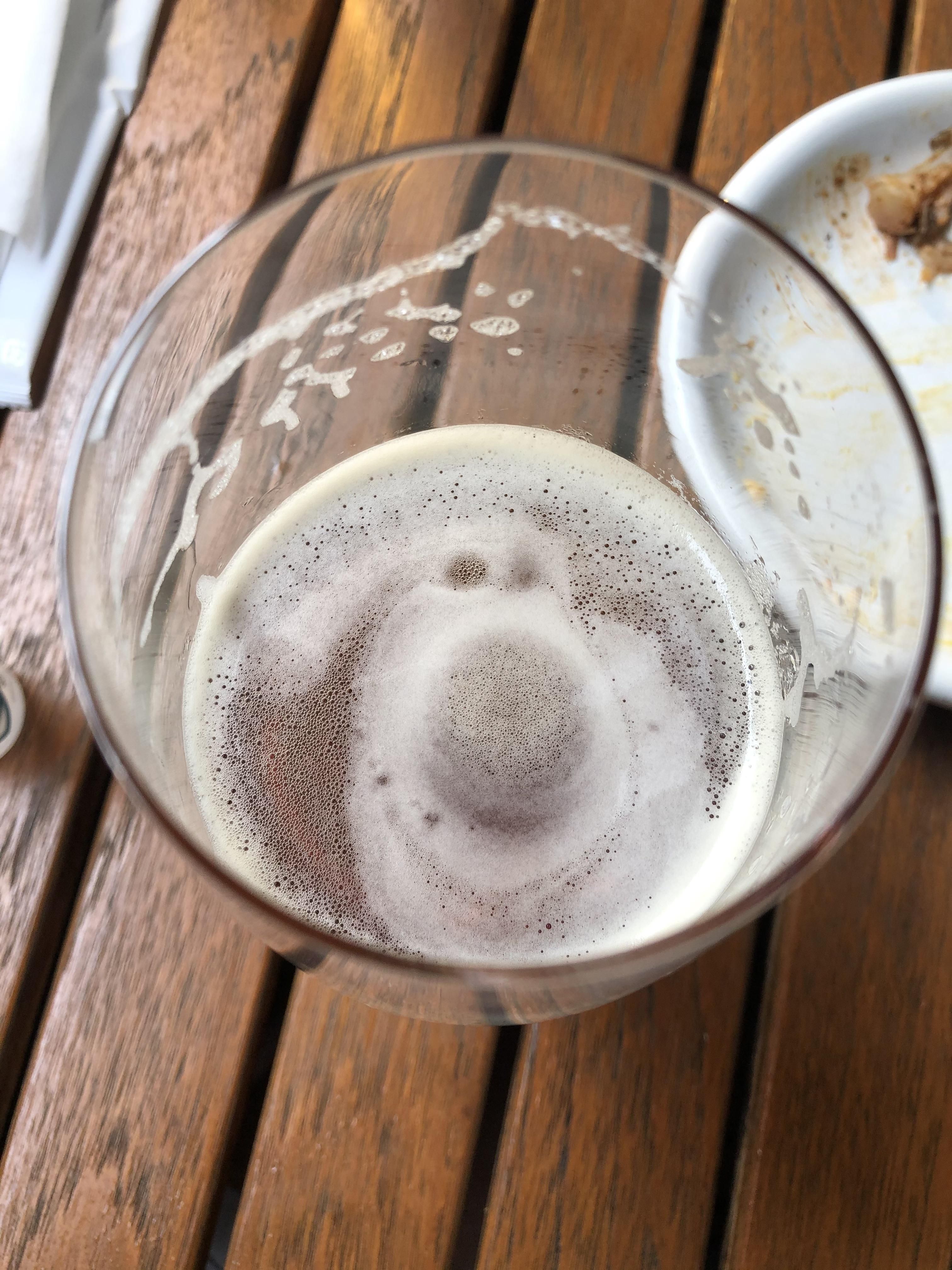 A friendly pup in my beer