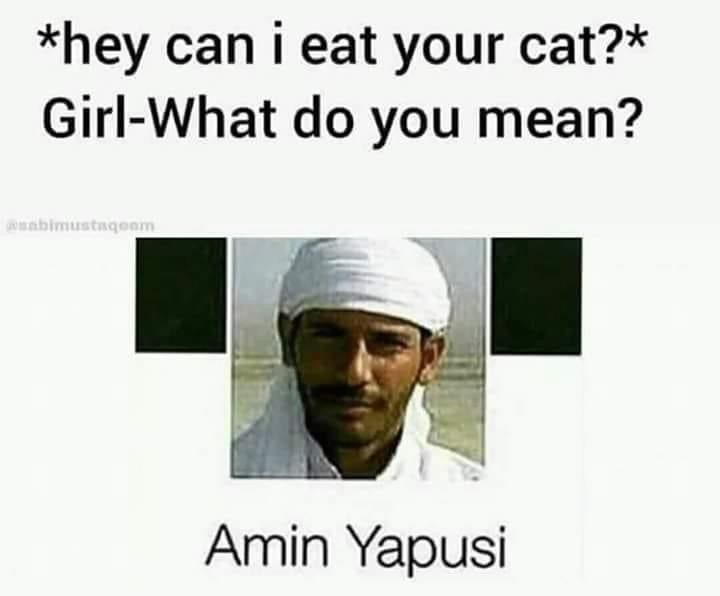 meow