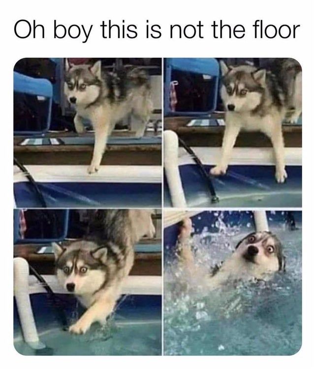 oh boy pls help