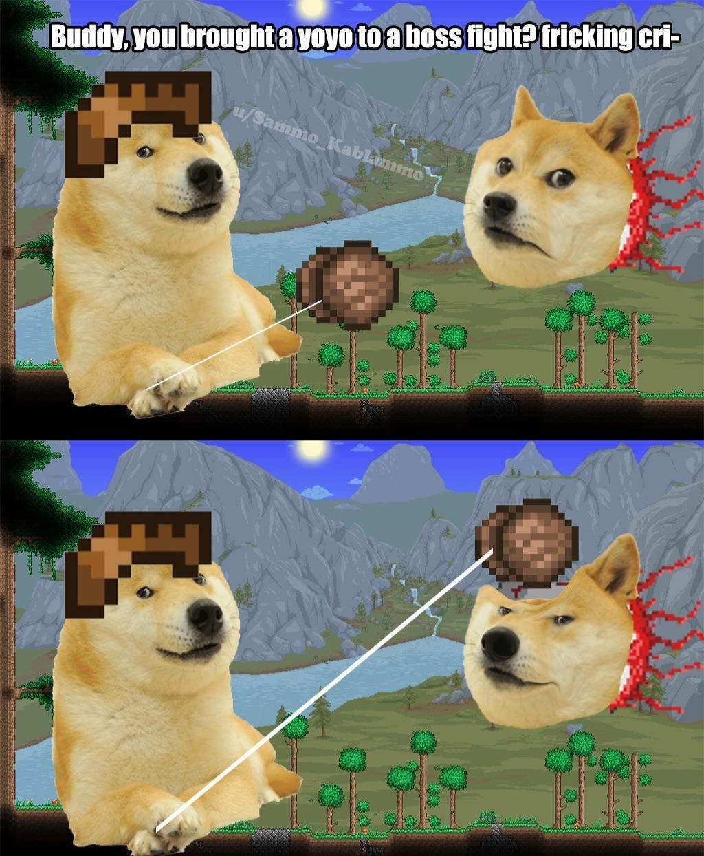 Bonk
