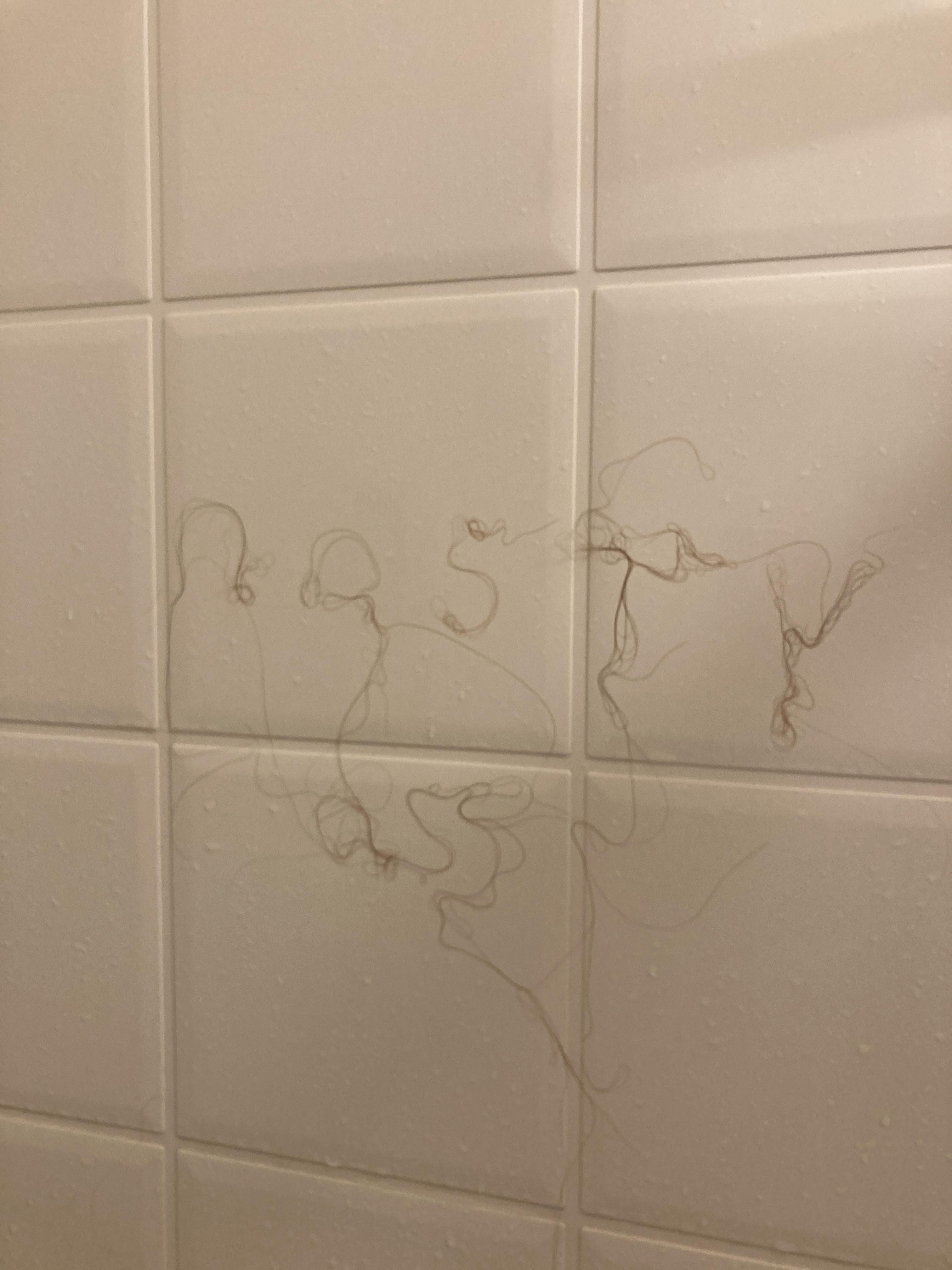 My wife leaves her hair on the shower wall so I decided to leave her a message the next time she takes one.