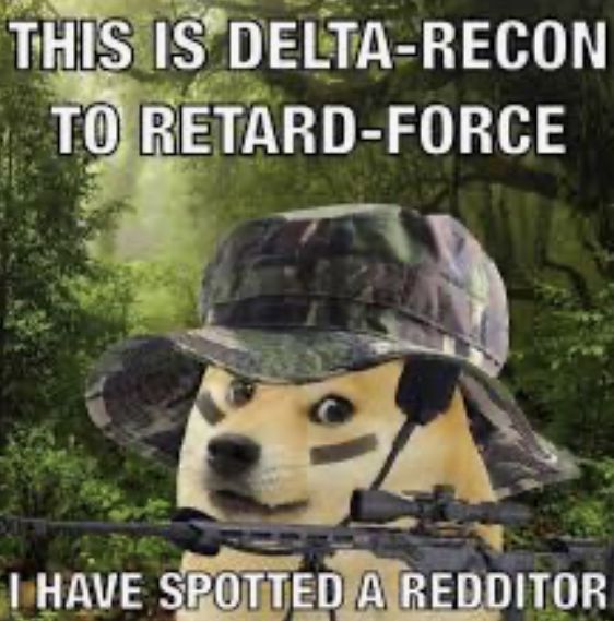 Pedophile spotted