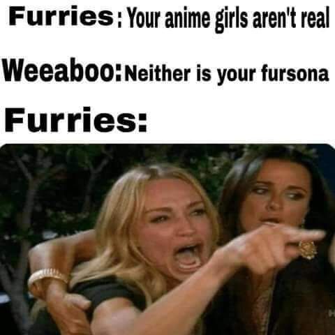 stop fuwursecuting me