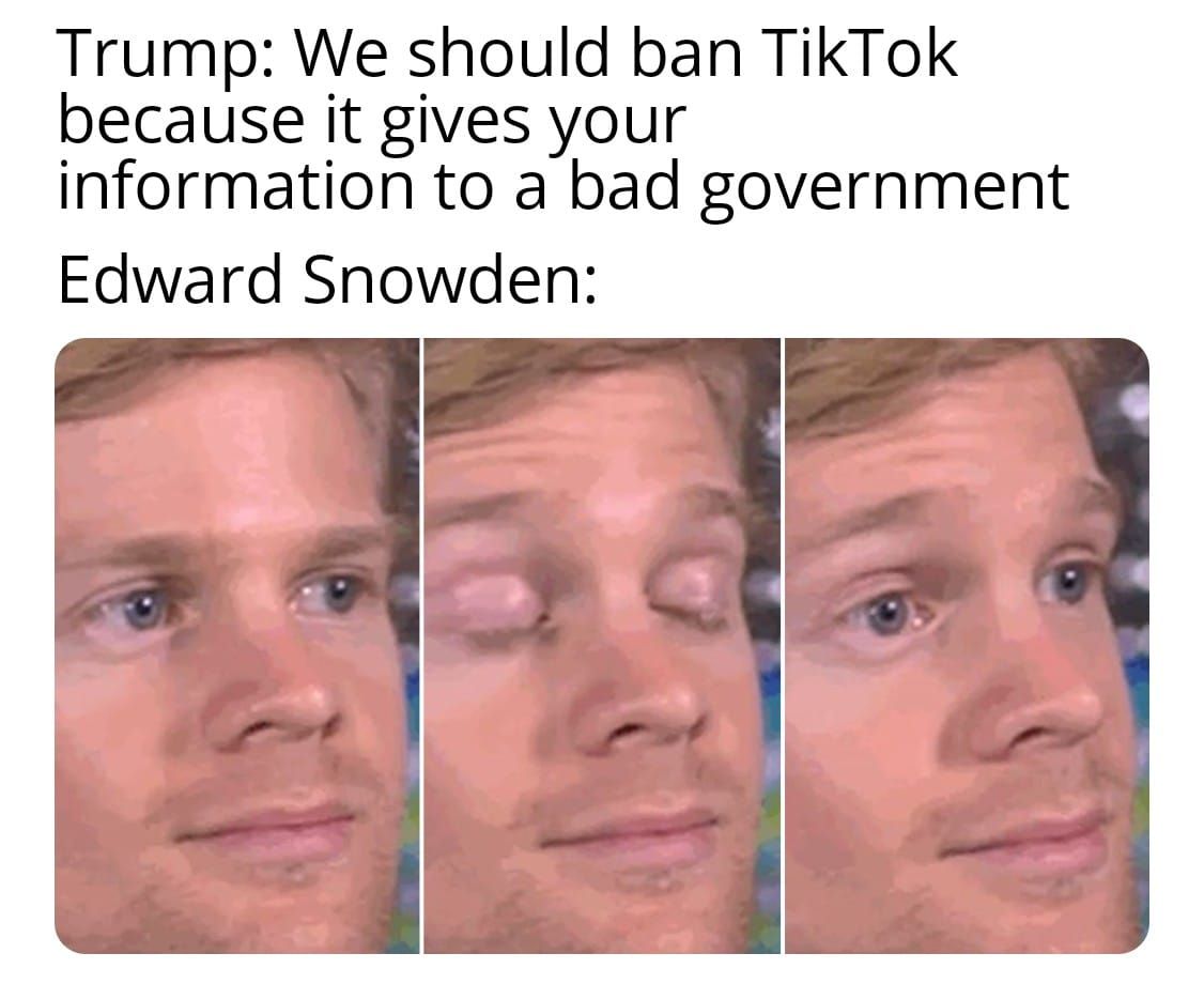 microsoft buy tiktok and then it all good brehs it goes to good gobrehment