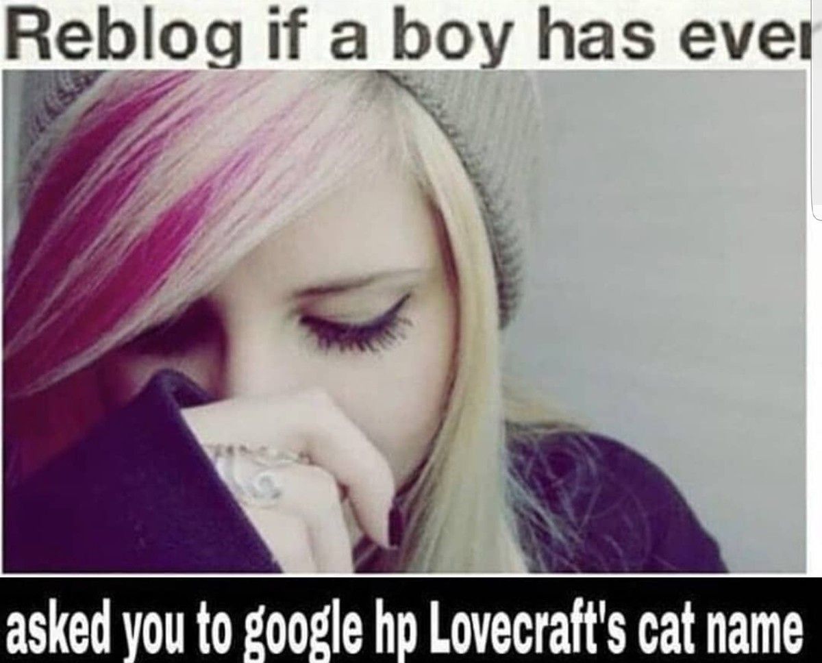 do NOT look up hp lovecraft cat!