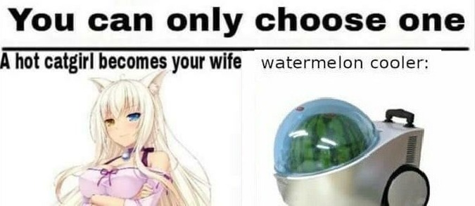 It's an easy choice you weebs