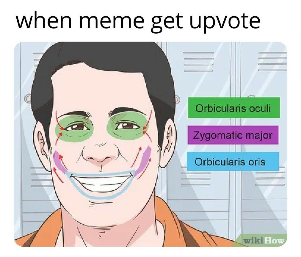:v :p d:
