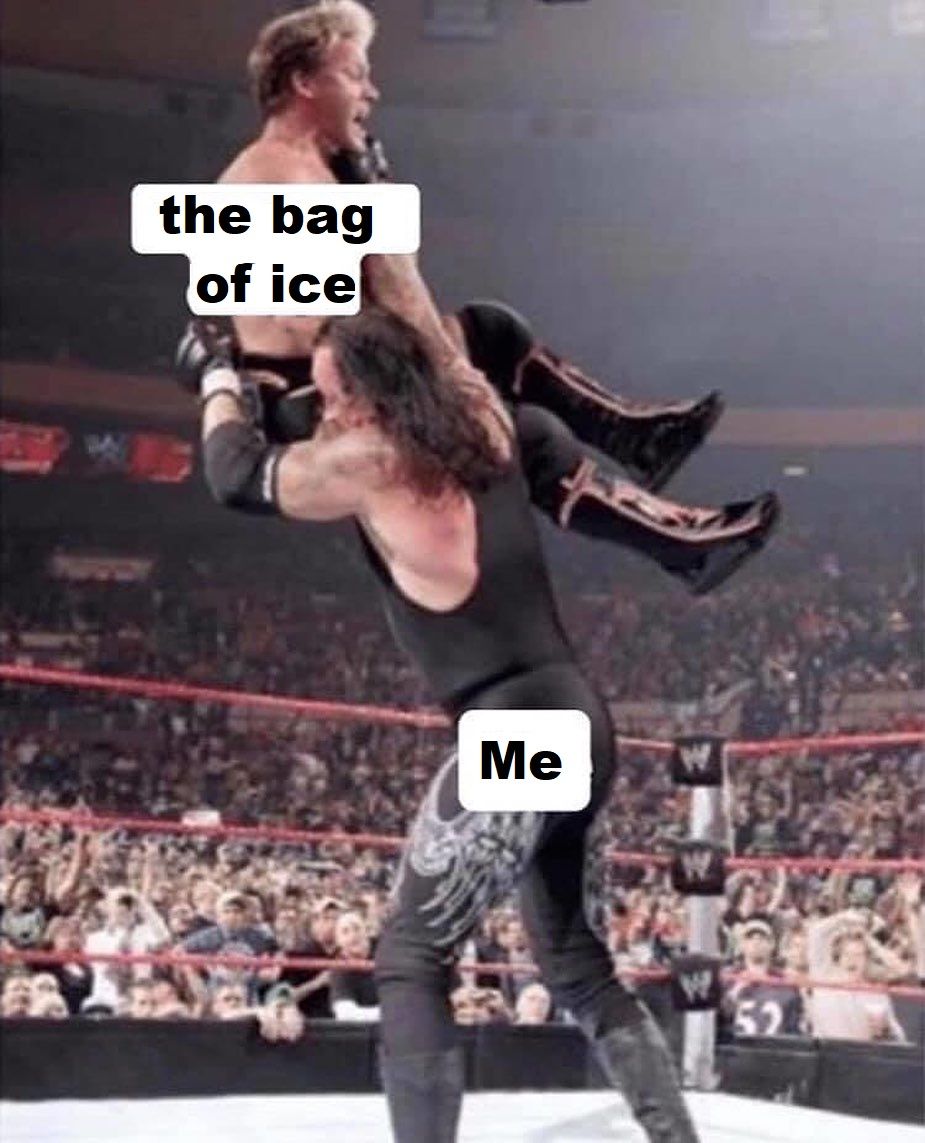 the weight of a polar bear