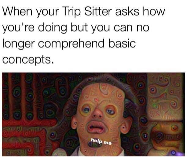 always go with the flow of the trip brehs