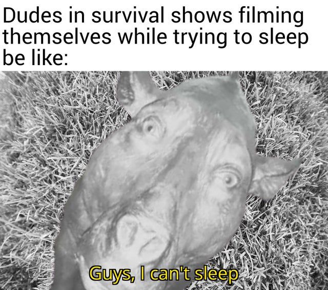sleep tight