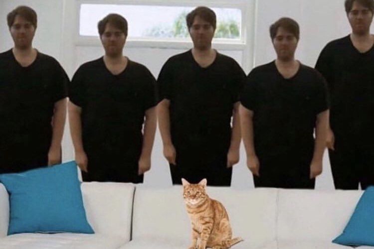 Pet