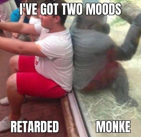 but im retarded monke