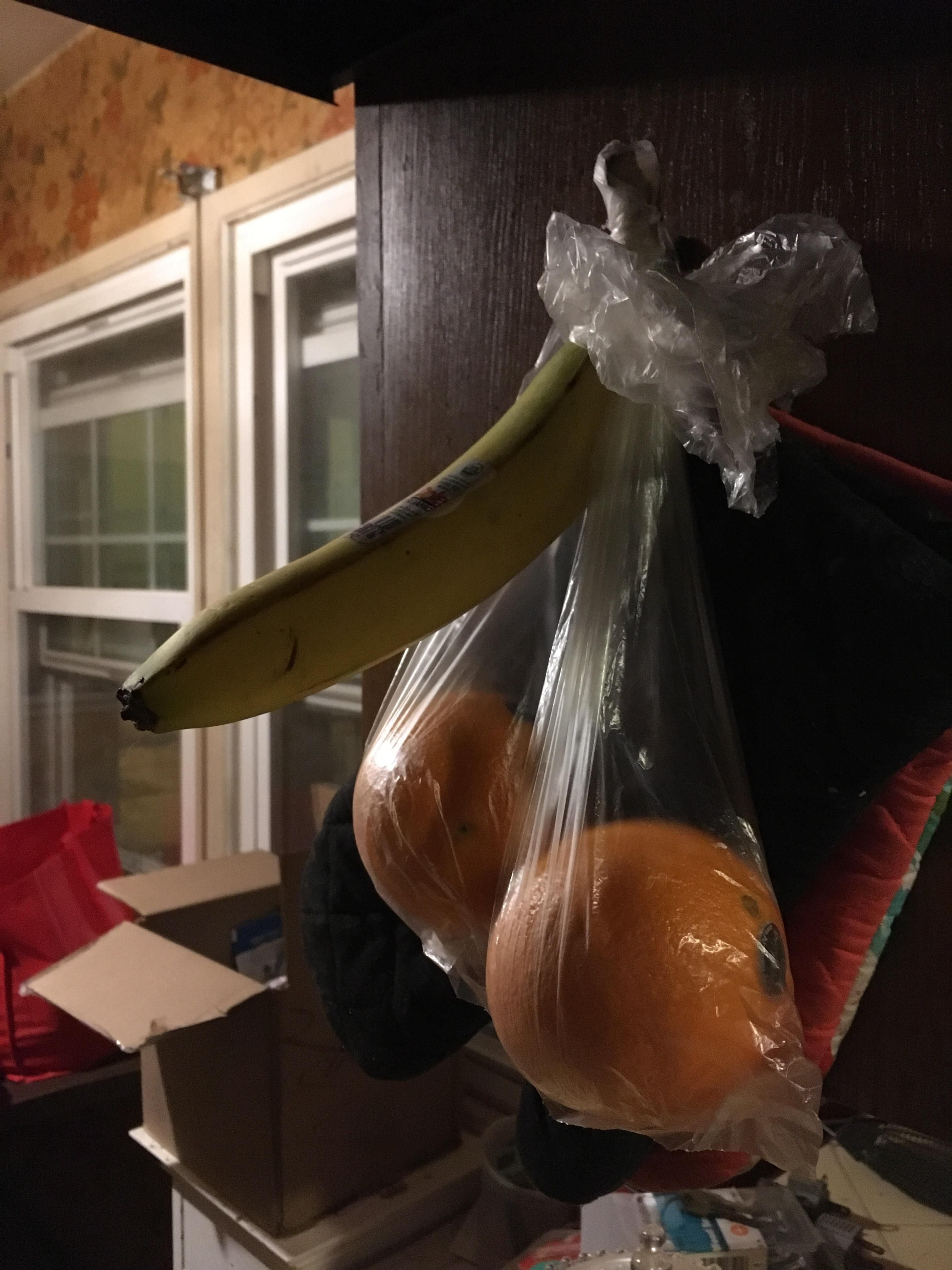 I artfully arrange our fruit at night for my wife to find in the morning.