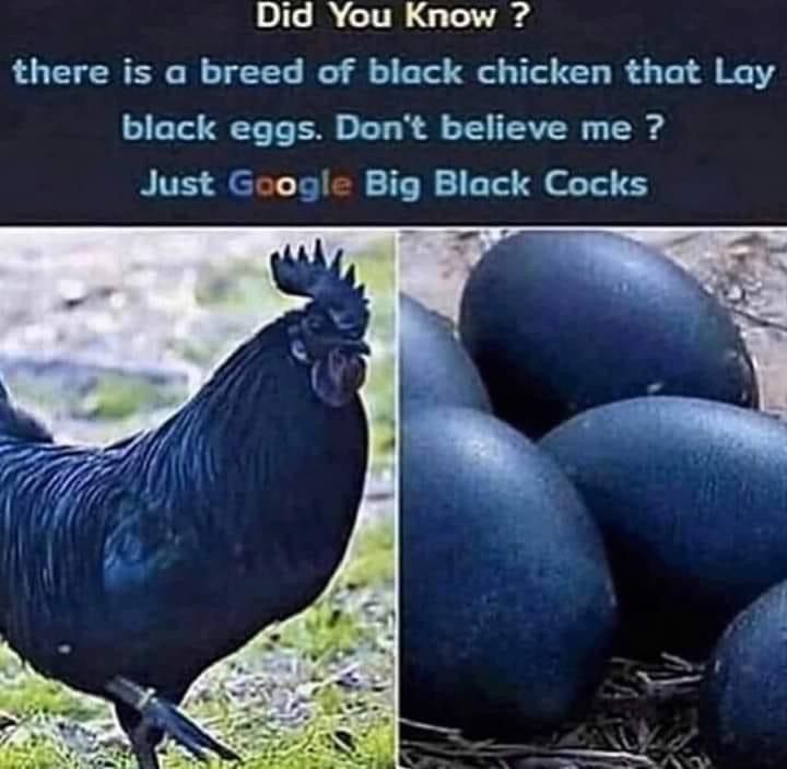 Nature is amazing