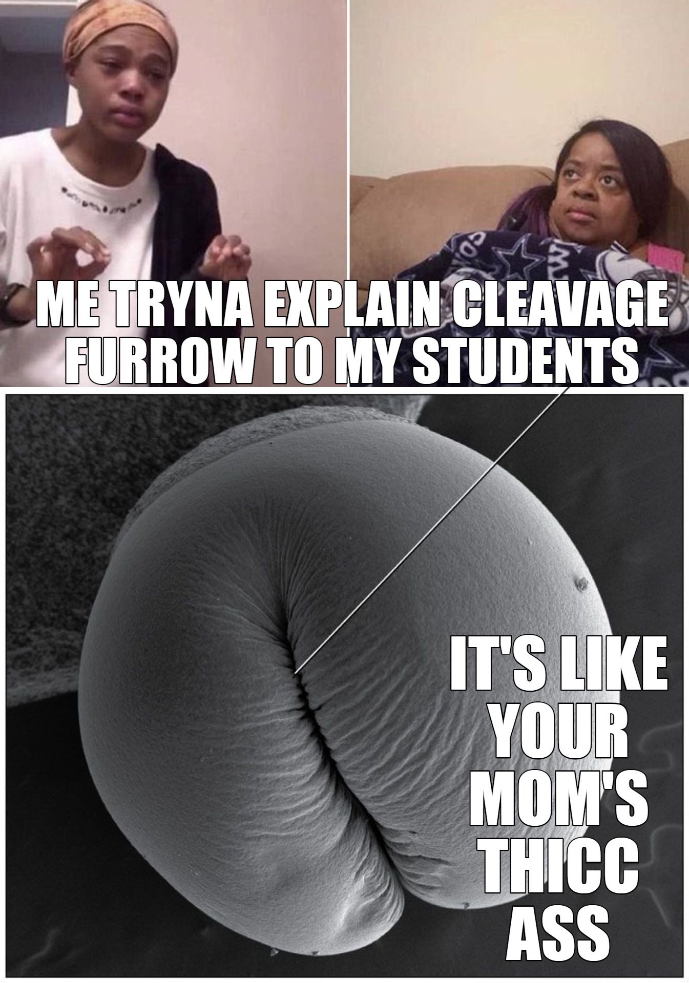Get on their level