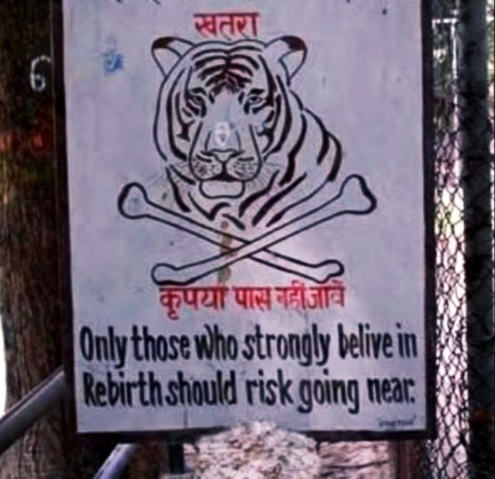 Caution sign from a Indian tiger reserve.