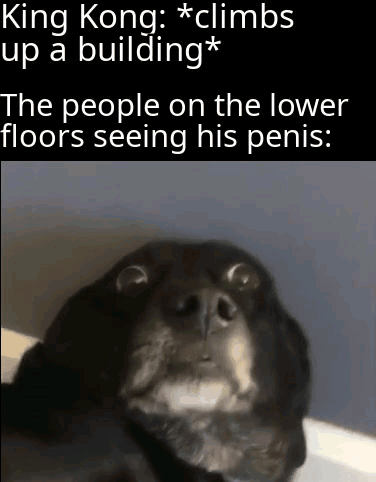King Dong