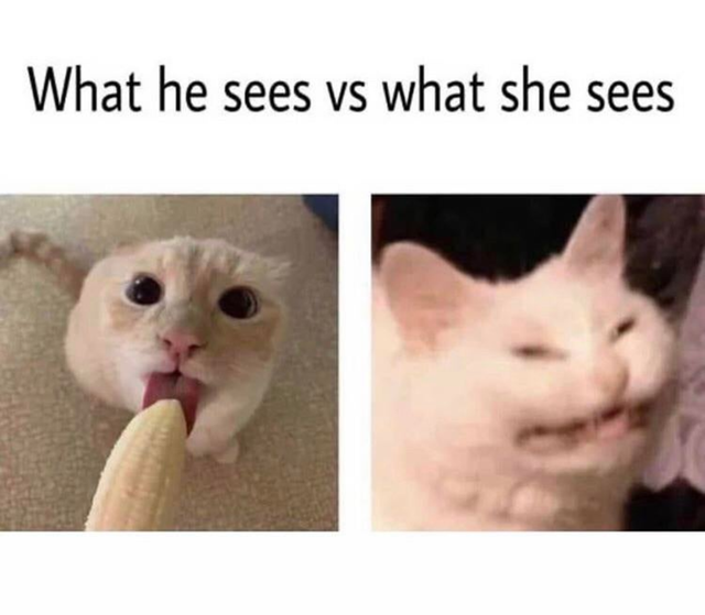 attractive