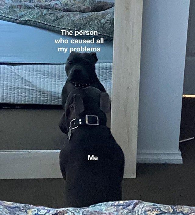 fck him >:(