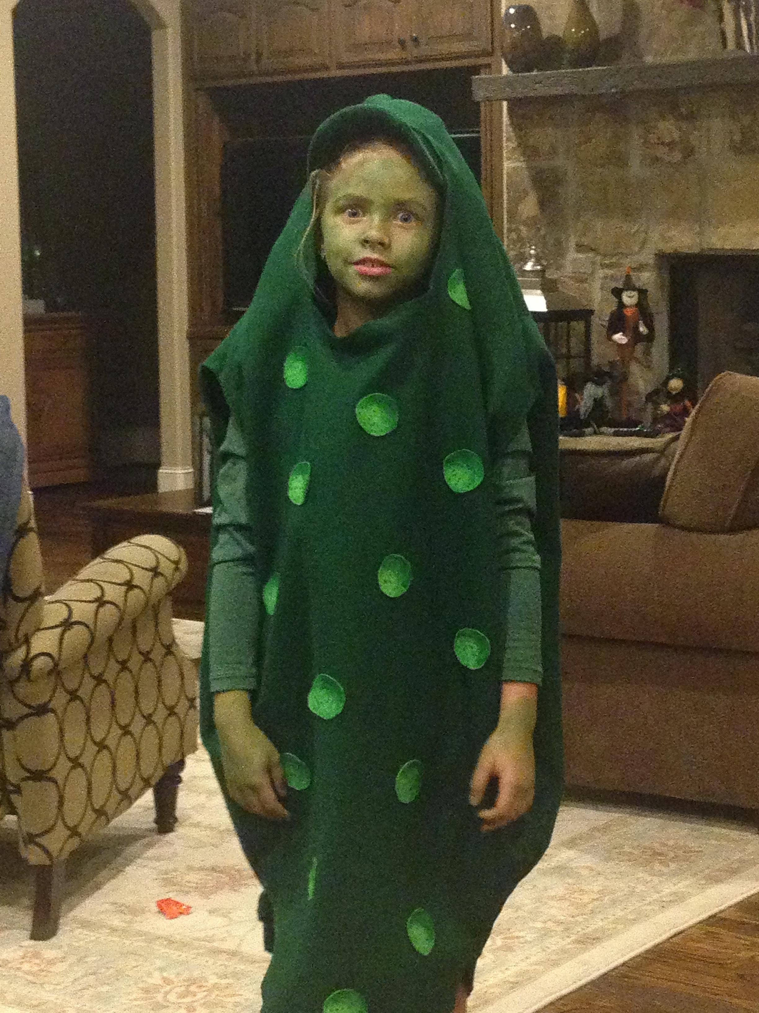 Forgot my little sister went as a pickle for Halloween a few years ago, funniest shit I've ever seen.