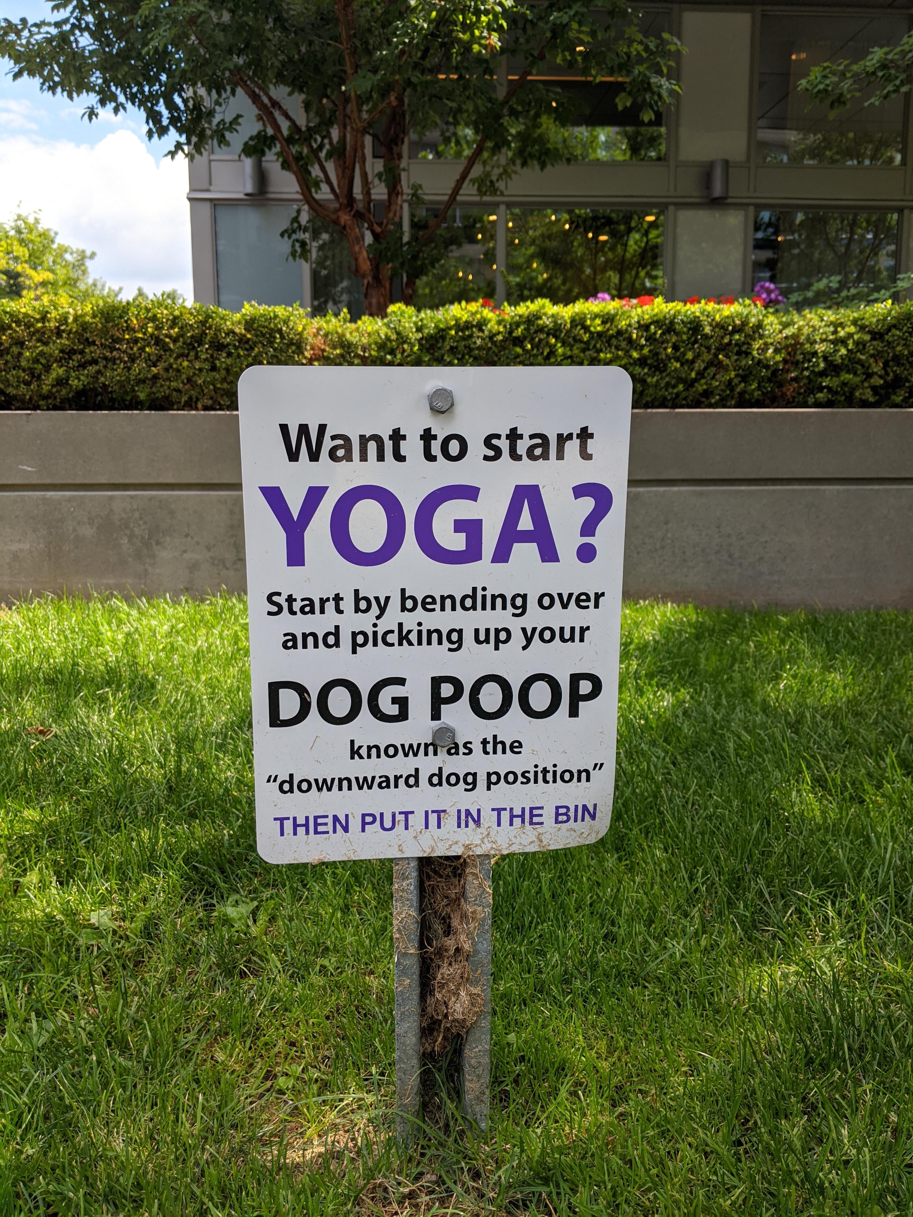 Downward Poop & Scoop